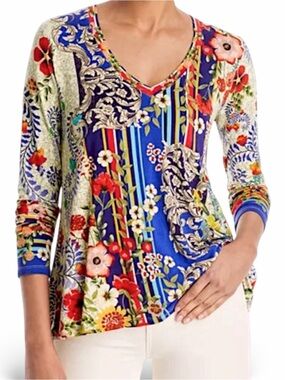 Johnny Was Wild Flower Favorite Long Sleeve V-Neck Swing Tee